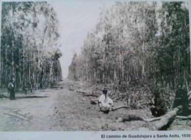 Vías como el Macrolibramiento suelen propiciar desarrollos urbanísticos que afectan a los ecosistemas, advierten especialistas. Aquí, el viejo camino de Guadalajara a Santa Anita