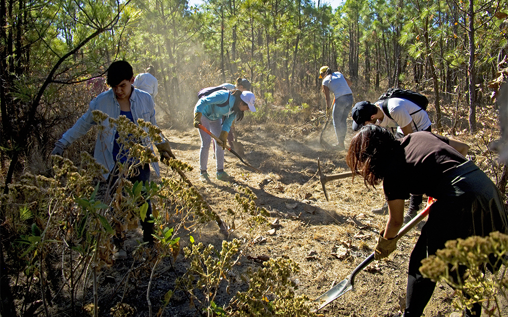 Restaurar Y Educar Para Conservar Ecosistemas CRUCE