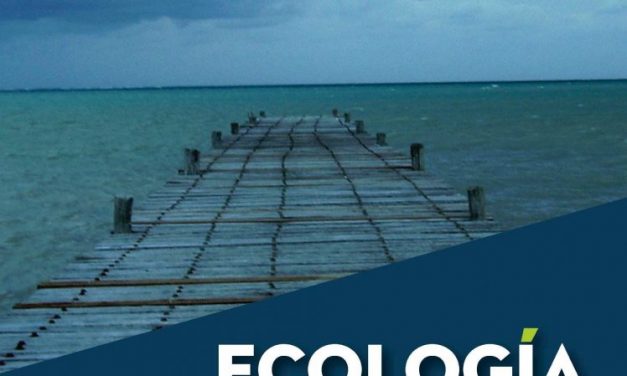 Ecología política, turismo y conservación